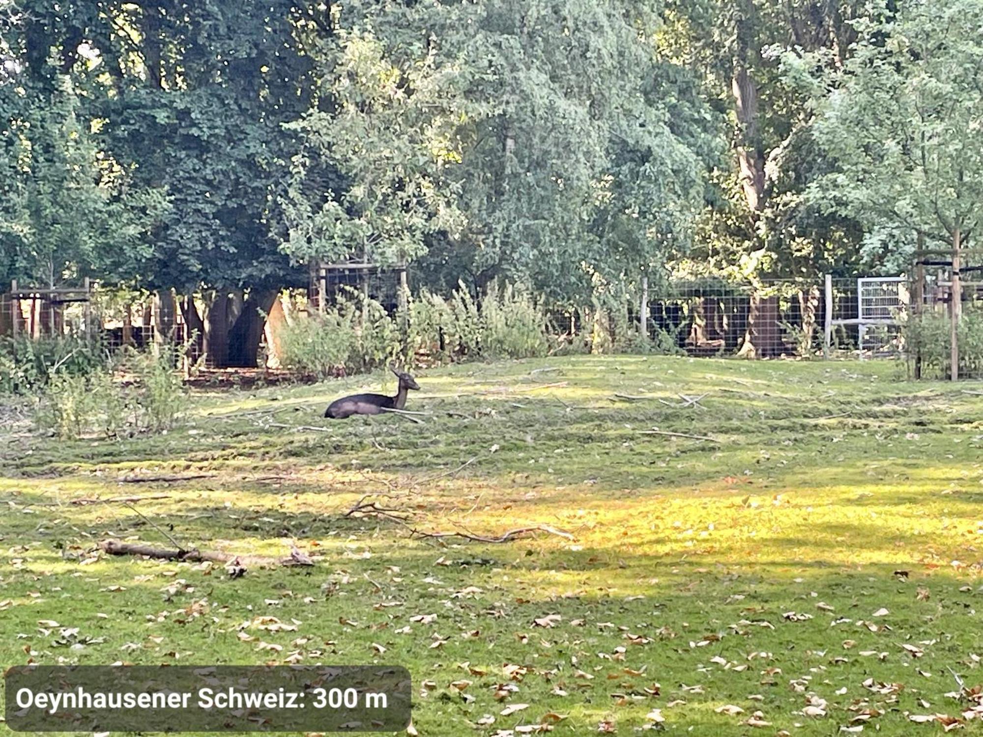 Top-Lage, 400 M Bis Gop, Bali-Therme Und Kurpark - Hdz - Parkplatz Bad Oeynhausen Eksteriør bilde